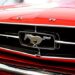 Ford mustang logo