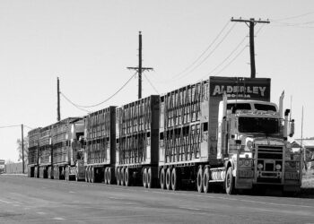 Silniční vlak – tahač s více návěsy