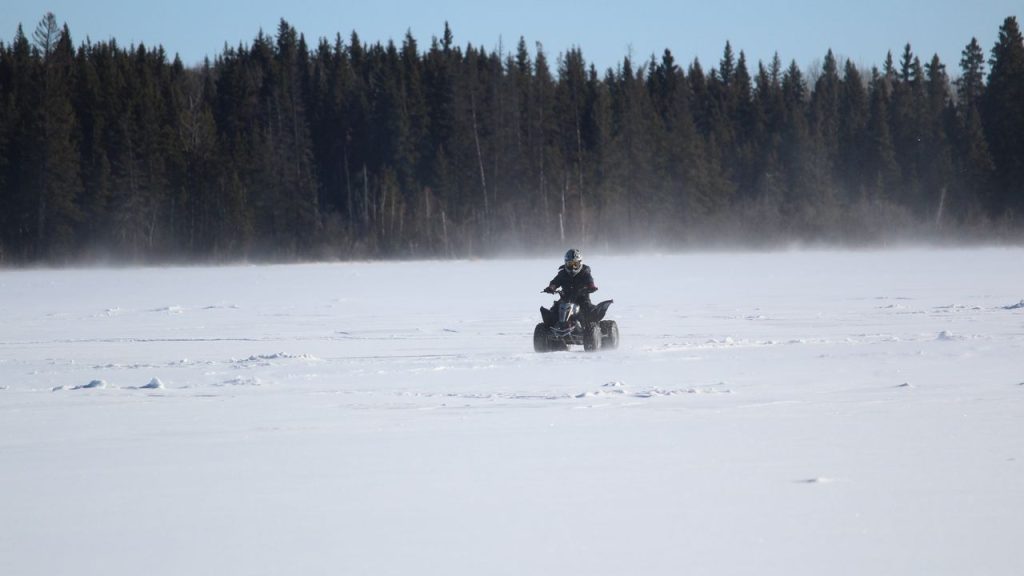 ctyrkolka v prirode snih