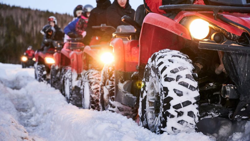 skupina ctyrkolek v zime