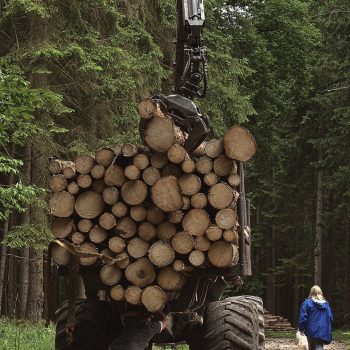 timber harvest 6474133 1280 timber harvest 6474133 1280