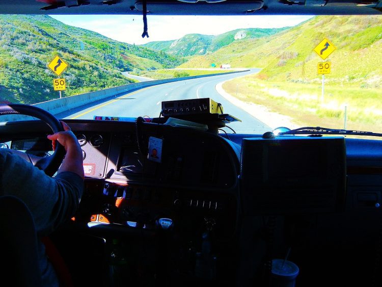 ridic truck driver 614191 1280