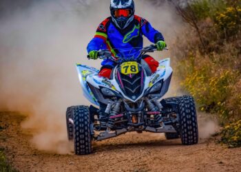 dimitrisvetsikas1969 soil 3204478 1280