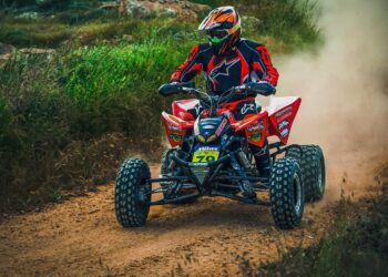 dimitrisvetsikas1969 soil 3204506 1280